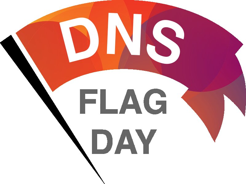 DNS Flag Day